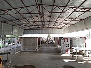 kanal mahallesi halı yıkama
